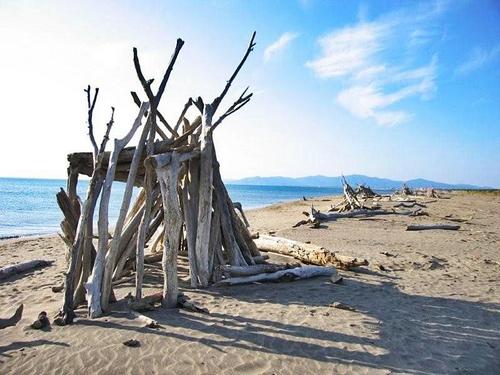 Principina a Mare | Kwatery nad morzem w Toskanii, plaża