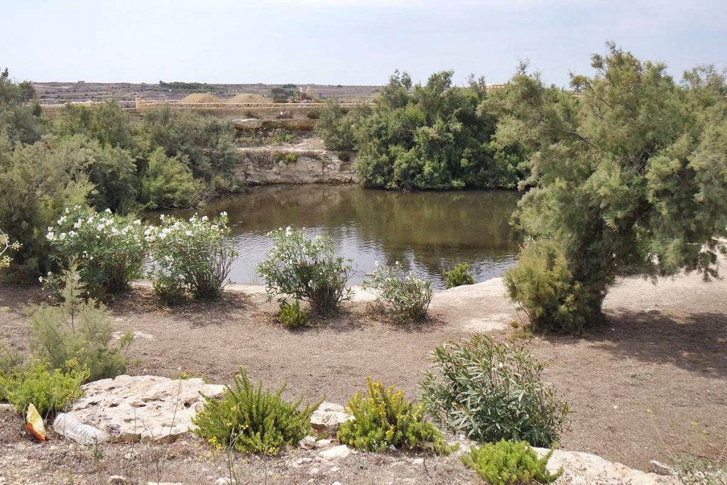 San Raflu Lake, Gozo