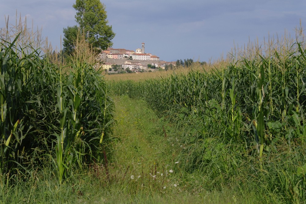 Widok na Monterchi z drogi przez pola