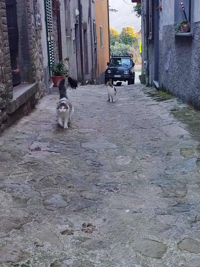 Lugliano-w-Garfagnanie