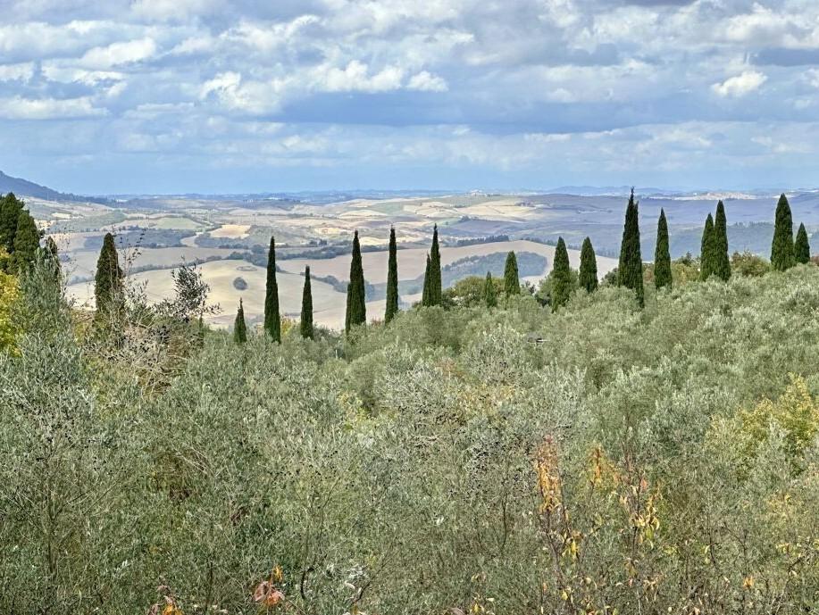 Kamienny dom na sprzedaż, Toskania